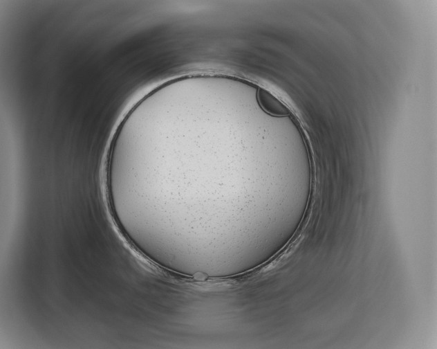 X0000113041440200909171512