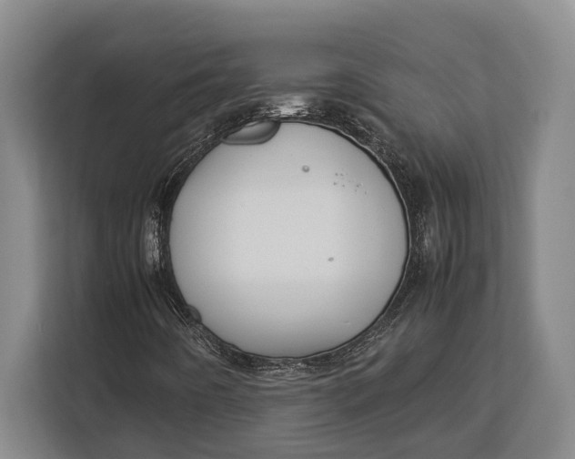 X0000113041442200909171511