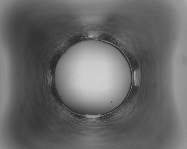 X0000113041443200909171511