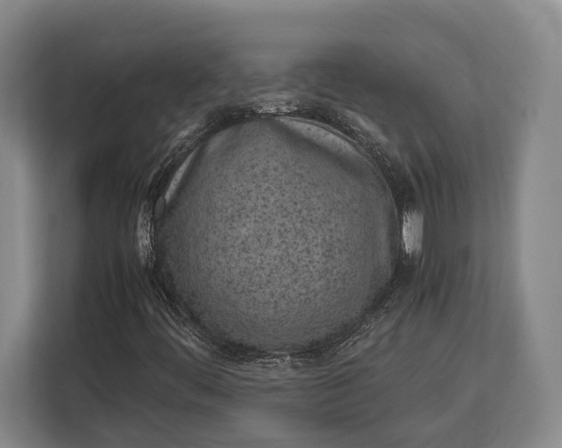 X0000113041444200909171511
