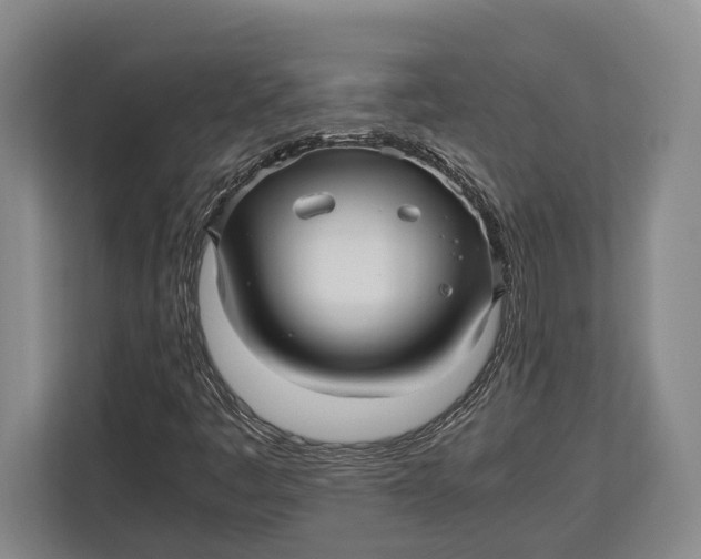 X0000113041445200909171511