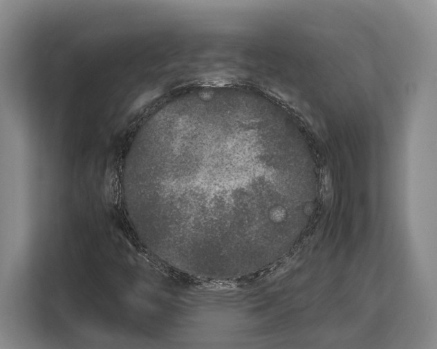 X0000113041446200909171511