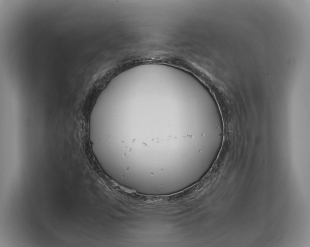 X0000113041447200909171511