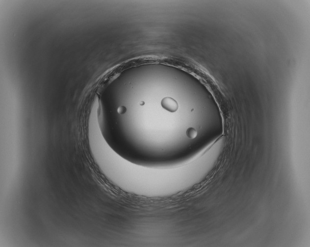 X0000113041448200909171511