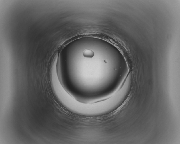 X0000113041449200909171511
