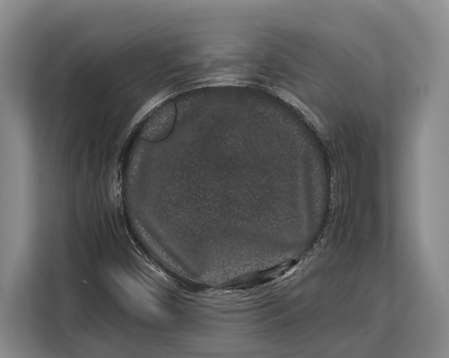 X0000113041450200909171511