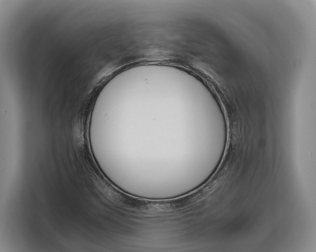 X0000113041451200909171511
