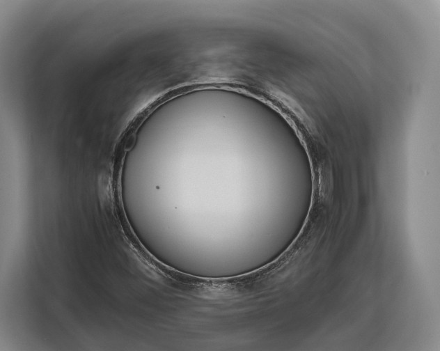 X0000113041452200909171511