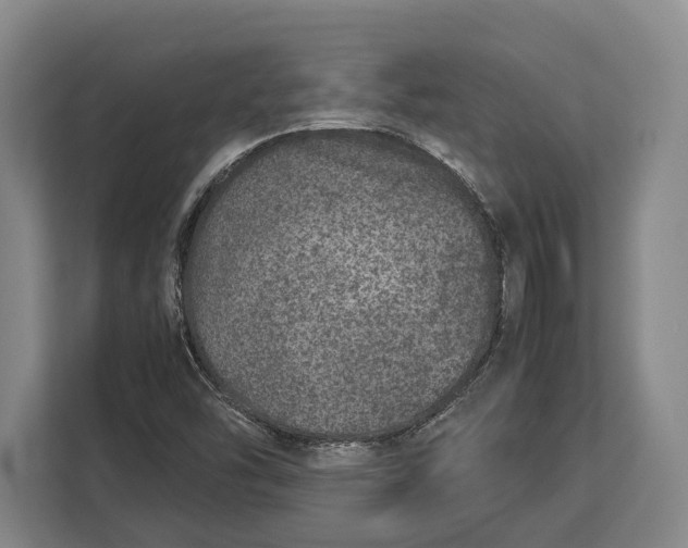X0000113041454200909171511