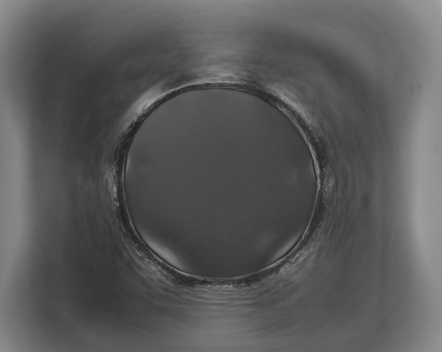 X0000113041455200909171511