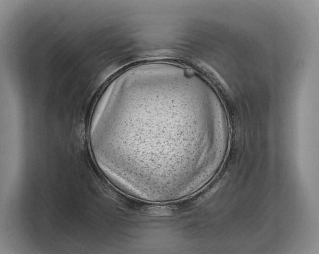 X0000113041457200909171511