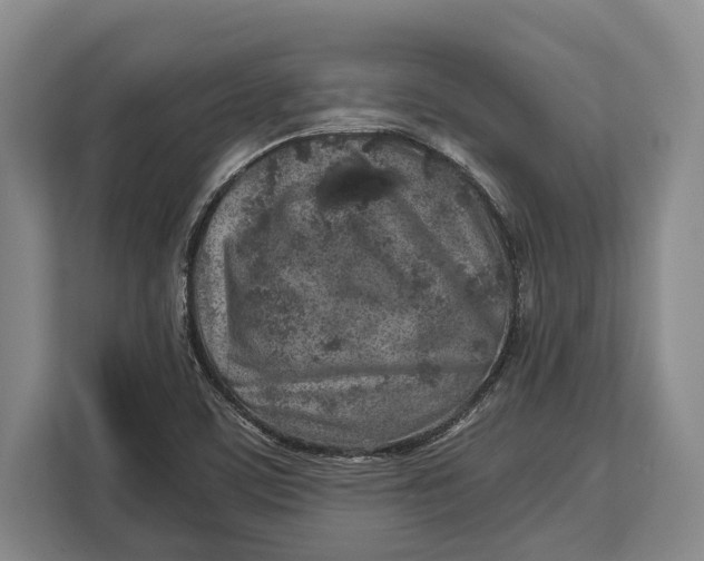 X0000113041459200909171511