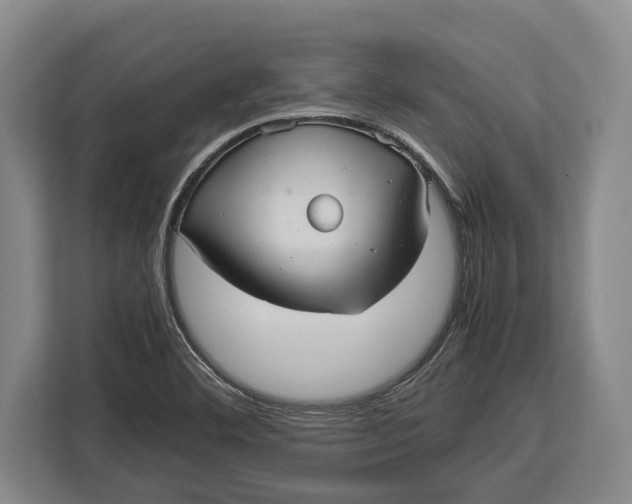 X0000113041460200909171511