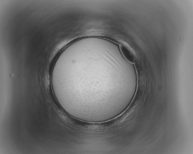 X0000113041461200909171511