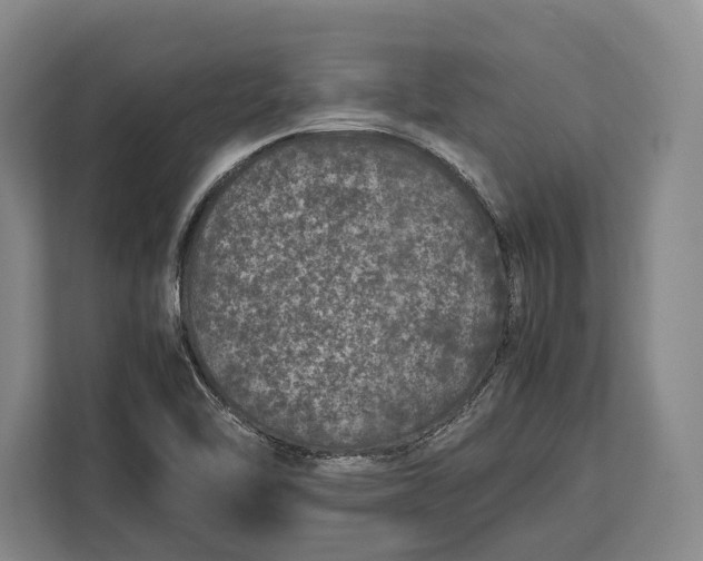 X0000113041462200909171511