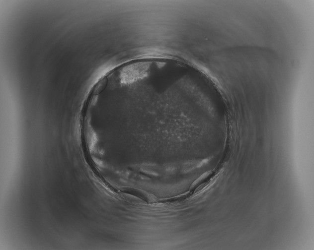 X0000113041463200909171511
