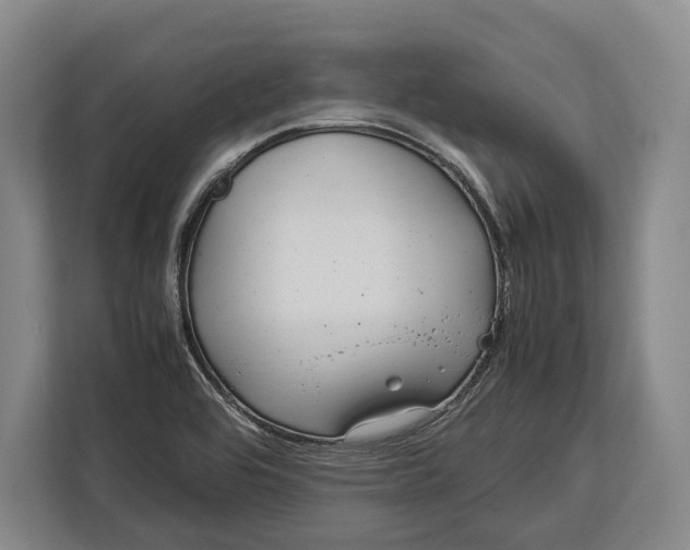 X0000113041464200909171511
