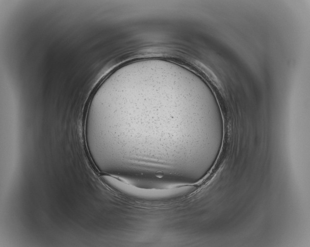 X0000113041465200909171511