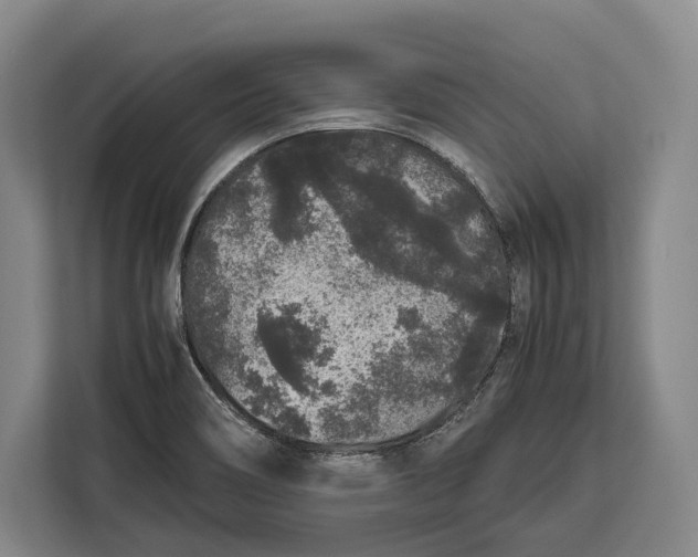 X0000113041466200909171511