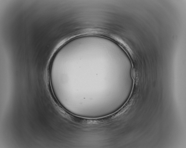 X0000113041467200909171511