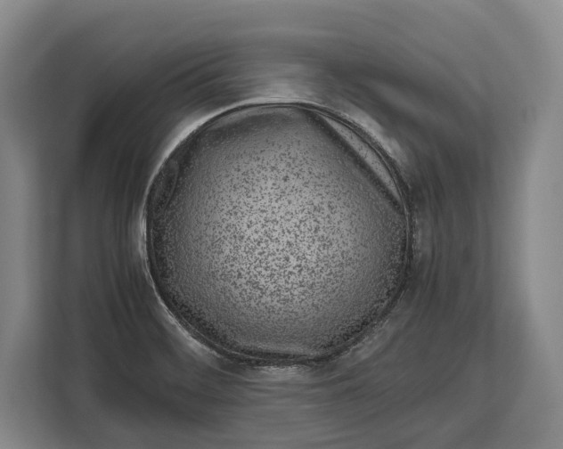 X0000113041468200909171511