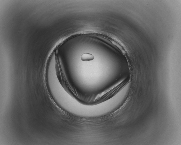 X0000113041469200909171511