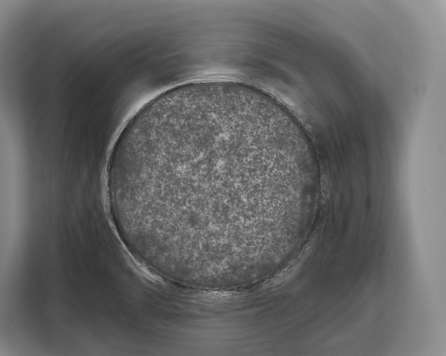 X0000113041470200909171511