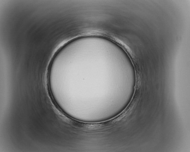 X0000113041471200909171511