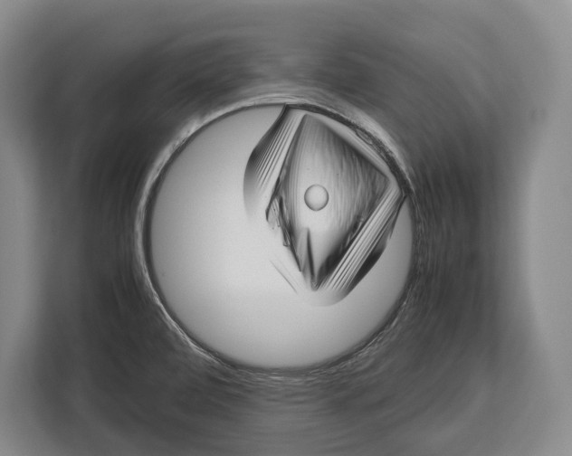 X0000113041472200909171511