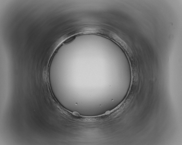 X0000113041473200909171511