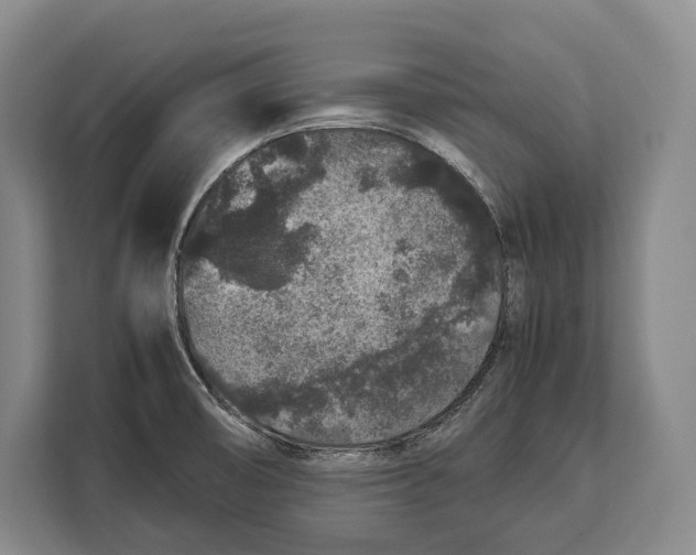 X0000113041474200909171511