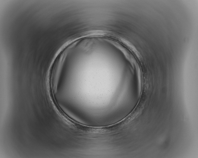 X0000113041475200909171511