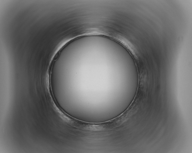 X0000113041476200909171511
