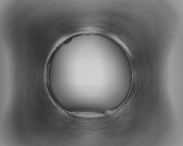 X0000113041477200909171511