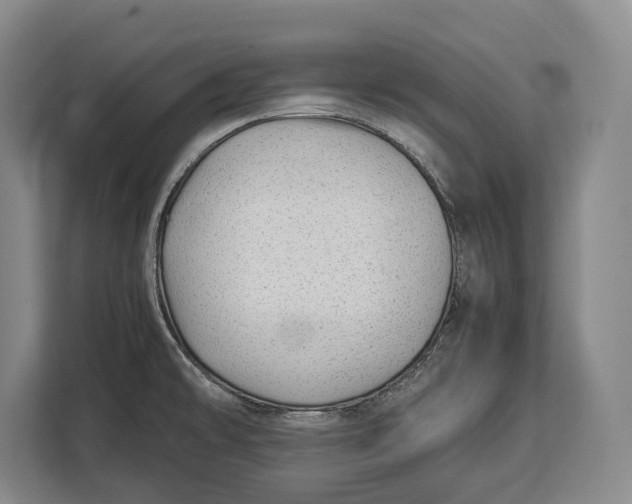 X0000113041478200909171511