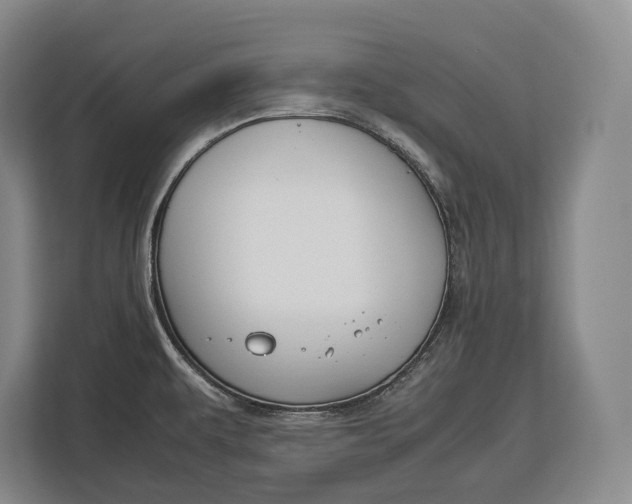 X0000113041479200909171511