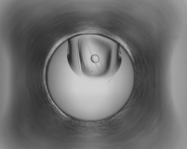 X0000113041480200909171511