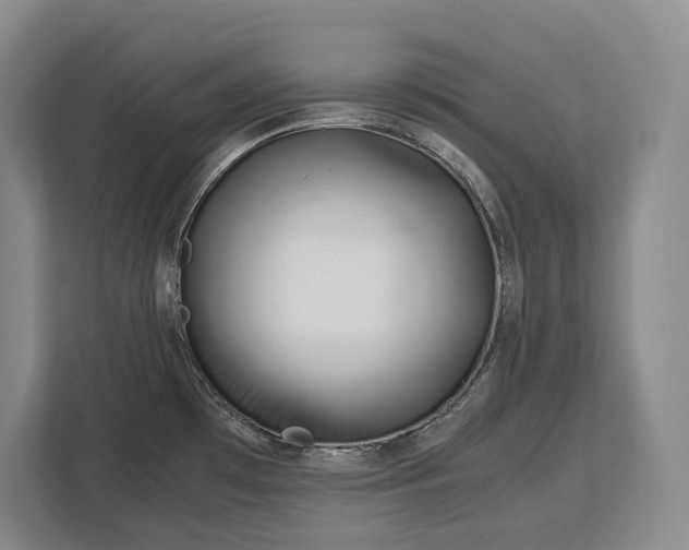 X0000113041481200909171511