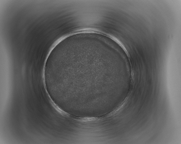 X0000113041482200909171511