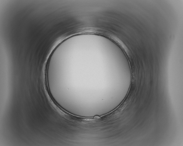 X0000113041483200909171511