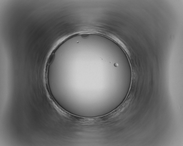 X0000113041485200909171511