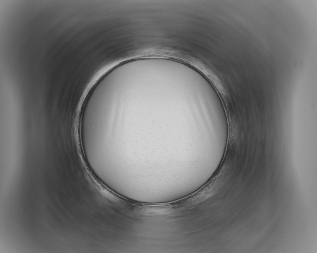 X0000113041486200909171511