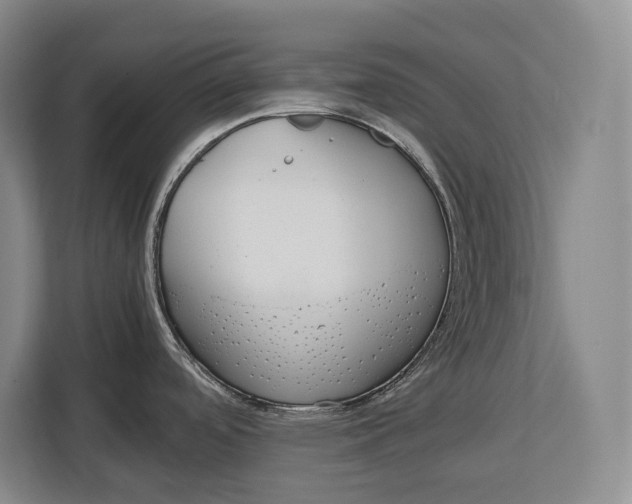 X0000113041488200909171511