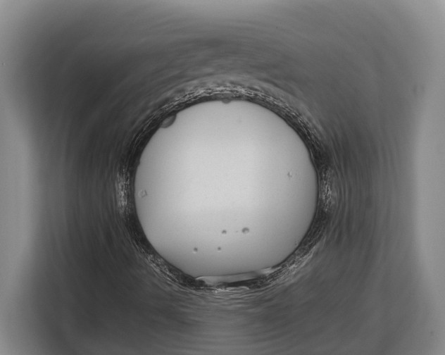 X0000113041490200909171510