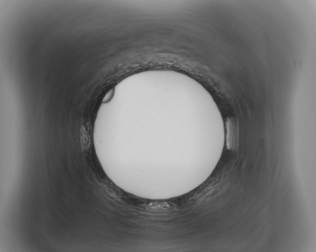 X0000113041491200909171510
