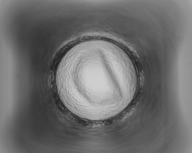 X0000113041494200909171510