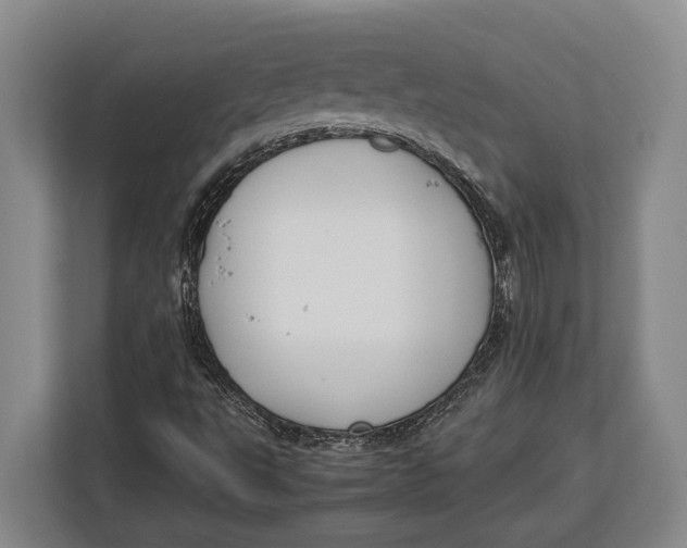 X0000113041495200909171510