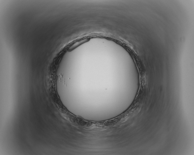 X0000113041496200909171510