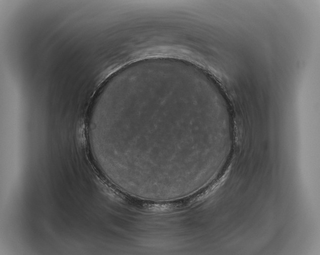 X0000113041497200909171510