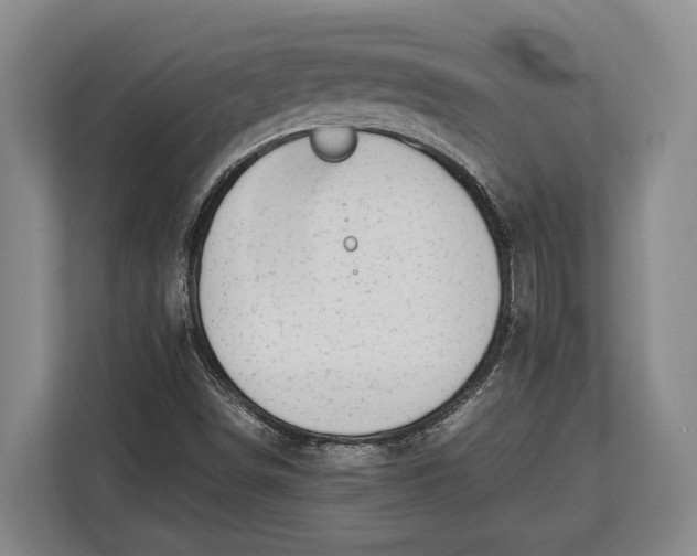 X0000113041498200909171510